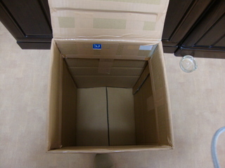 DSC00155.JPG