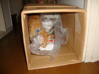 DSC00993.JPG