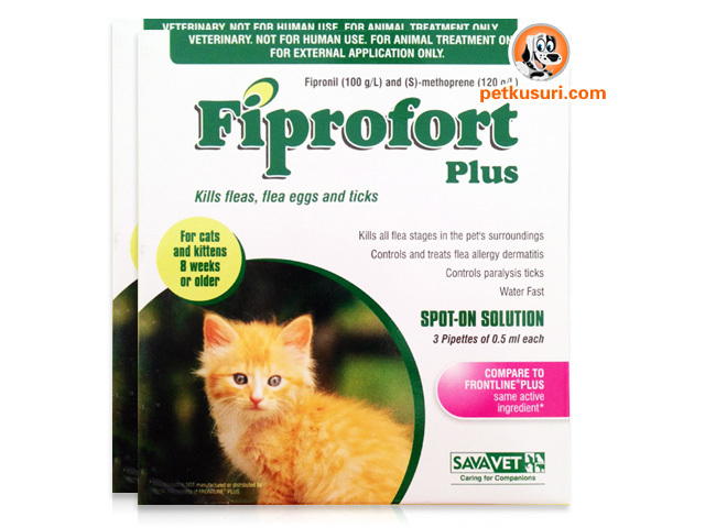 Fiprofort_Plus_for_Cats_&_Kittens_8_Weeks_or_Older_x3_x2set-pk__30213_zoom.jpg